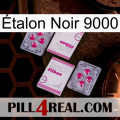 Étalon Noir 9000 33